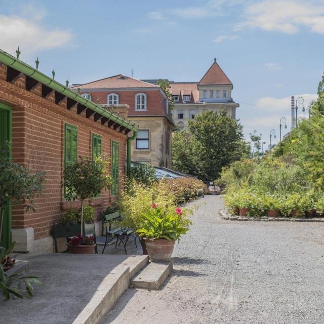 Nakon jednotjedne pauze i saniranja štete Botanički vrt se ponovno otvara za javnost 