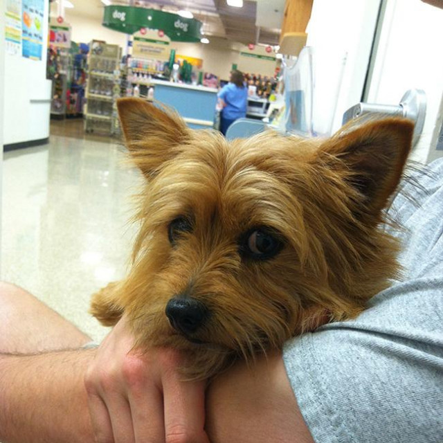 Ilustrativna fotografija