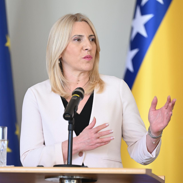 Željka Cvijanović