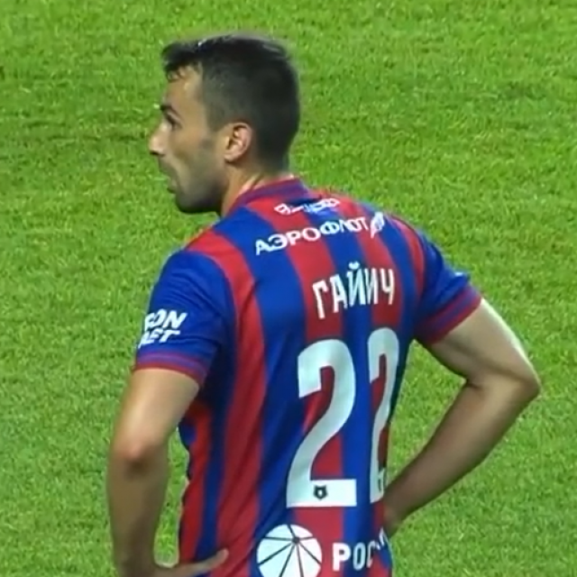Milan Gajić