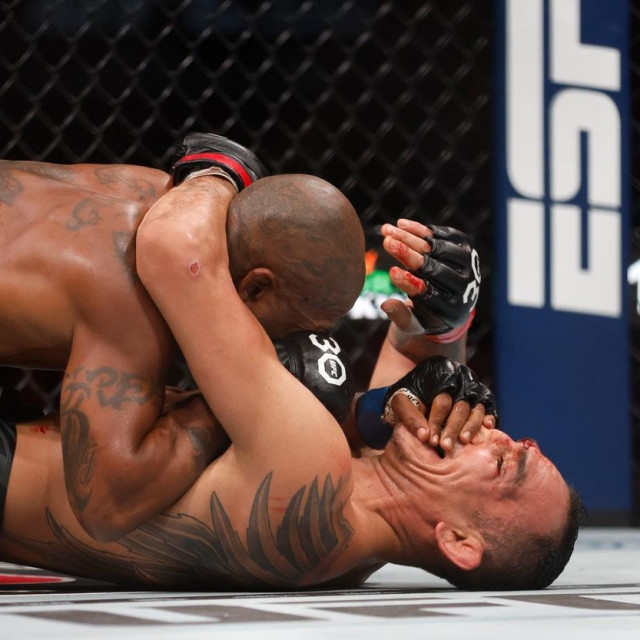 Bobby Green (gornji) i Tony Ferguson (donji)