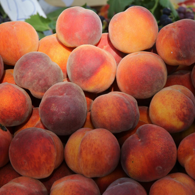 Tjedni monitoring cijena Tržišno-informacijskog centra Ministarstva poljoprivrede (TISUP-a) u 11 gradova pokazuje kako kilogram bresaka ili marelica na zagrebačkim tržnicama košta najviše četiri eura