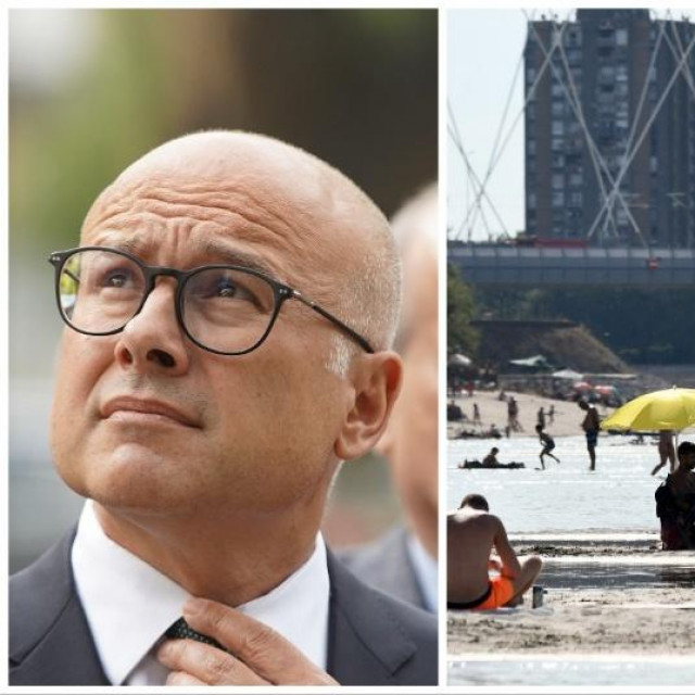 Miloš Vučević, Novi Sad