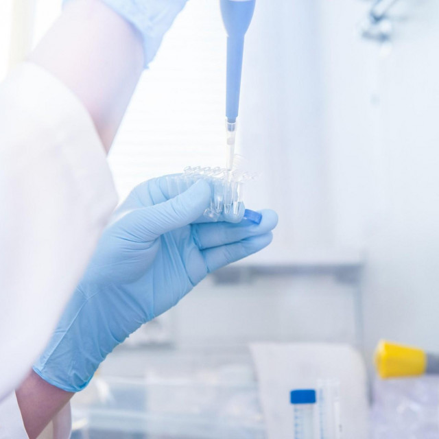 Ranije se smatralo da se PCNA ne može napadati lijekovima