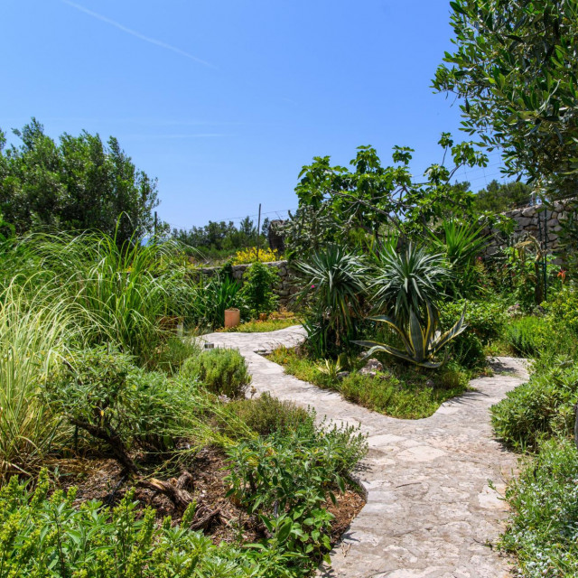 Vrt obitelji Marinković ispred njihove kuće u blizini mjesta Bol.
 