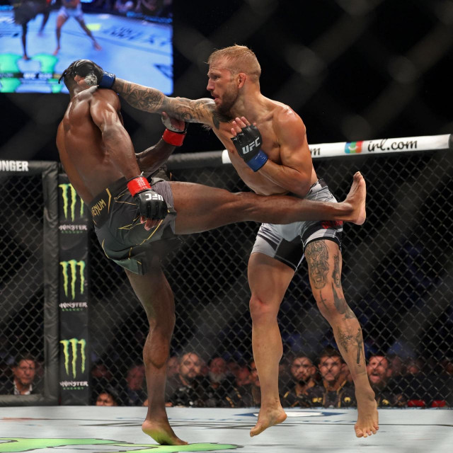 Aljamain Sterling i TJ Dillashaw