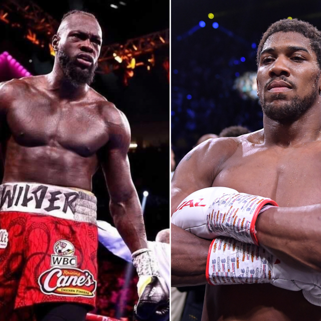 Wilder i Joshua