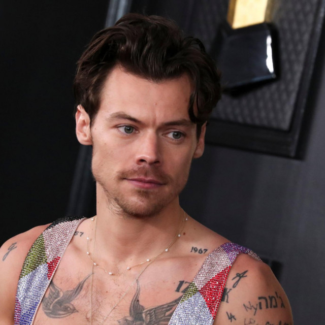 Harry Styles ponovno ljubi