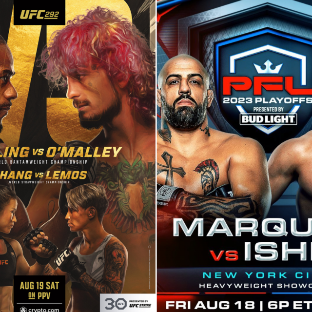 UFC i PFL posteri