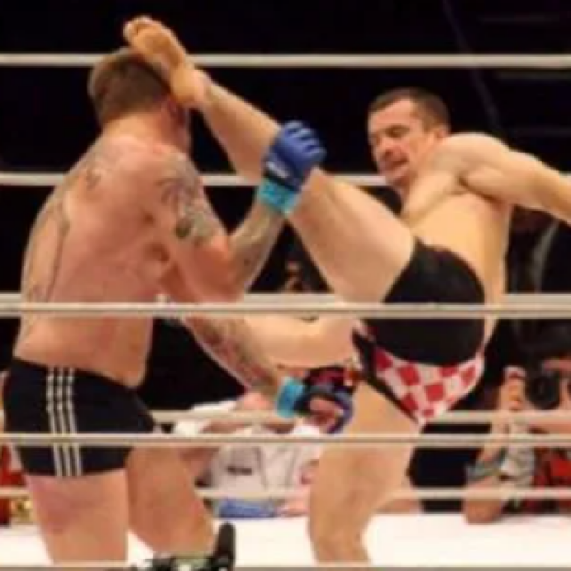 Cro Cop vs. Aleksander Emelianenko