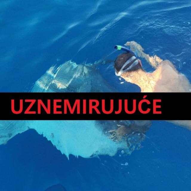 F B/Milaneze Komiza, Stop glisiranju blizu obale i ugrožavanju života ronilaca