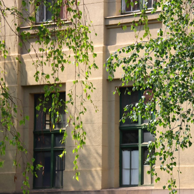 ilustrativna fotografija