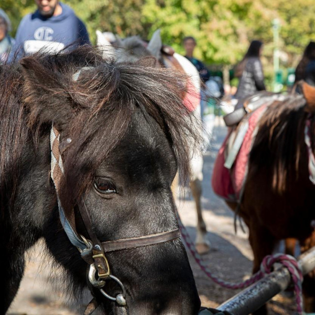 Prizor iz pariškog parka Monceau 