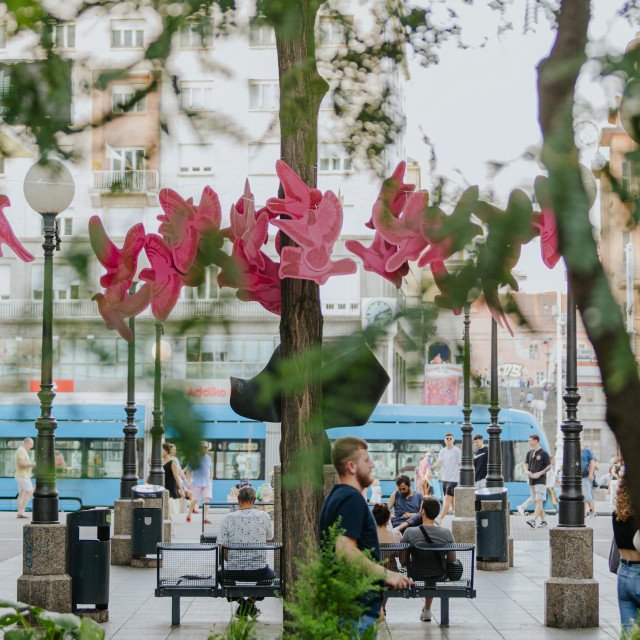 Točno u podne, Ivana Mrčela
Fotografija: Ernest Mazarekić