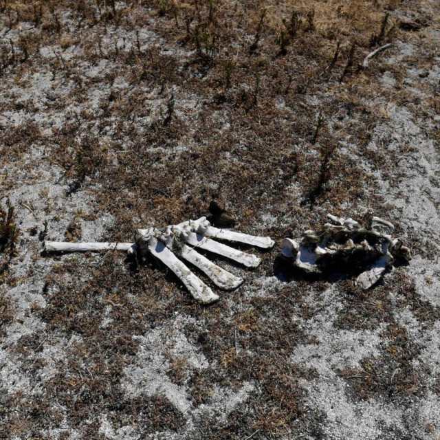 Suša, Ilustrativna fotografija