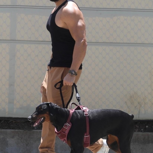 Sam Asghari i Porsha