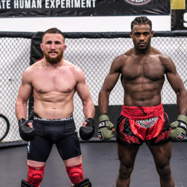 Merab Dvalishvili i Aljamain Sterling
