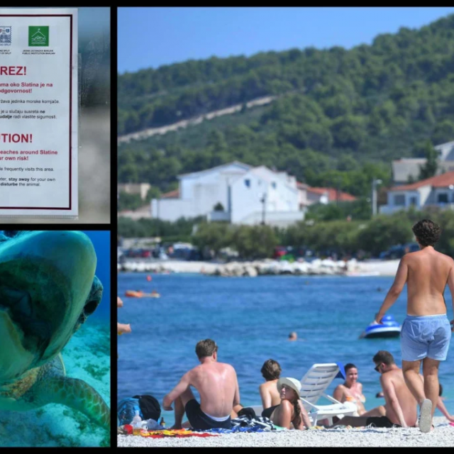 U Slatinama je morska kornjača glavna tema