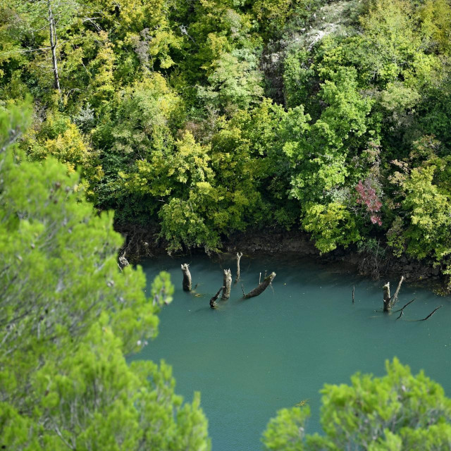 Ilustrativna fotografija
 