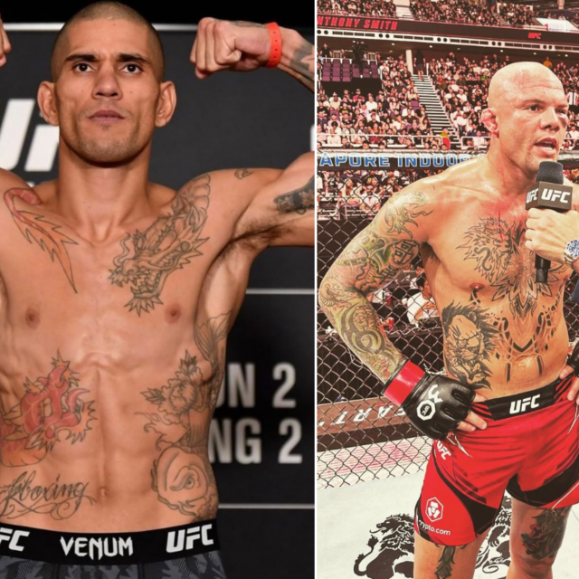 Alex Pereira, Anthony Smith i Michael Bisping