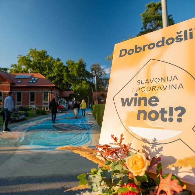 Vinski festival Slavonija i Podravina, wine not!?