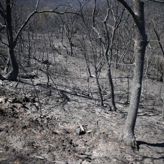 Posljedice požara u Alexandroupolisu i Evrosu