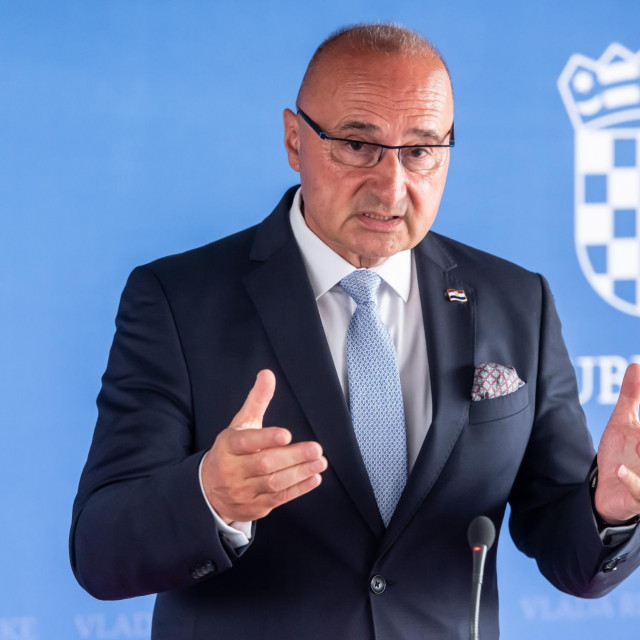 Goran Grlić Radman