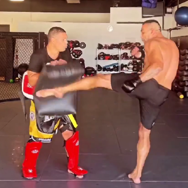 Fabricio Werdum
