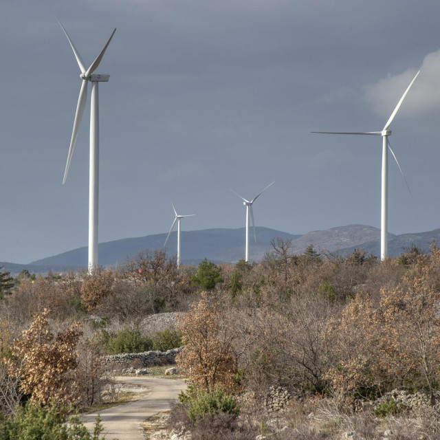 Ilustrativna fotografija

 