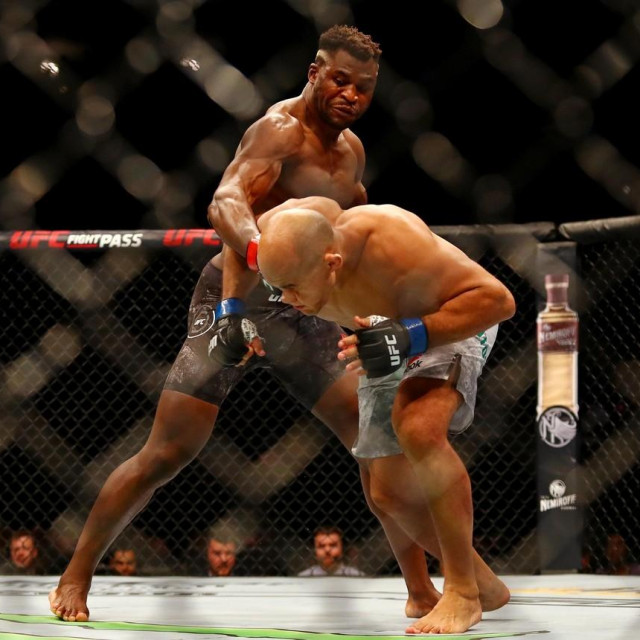 Francis Ngannou i Junior dos Santos