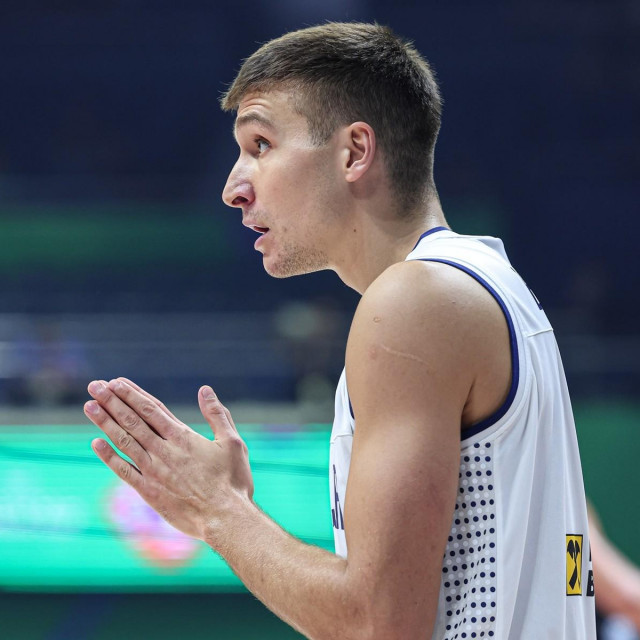 Bogdan Bogdanović