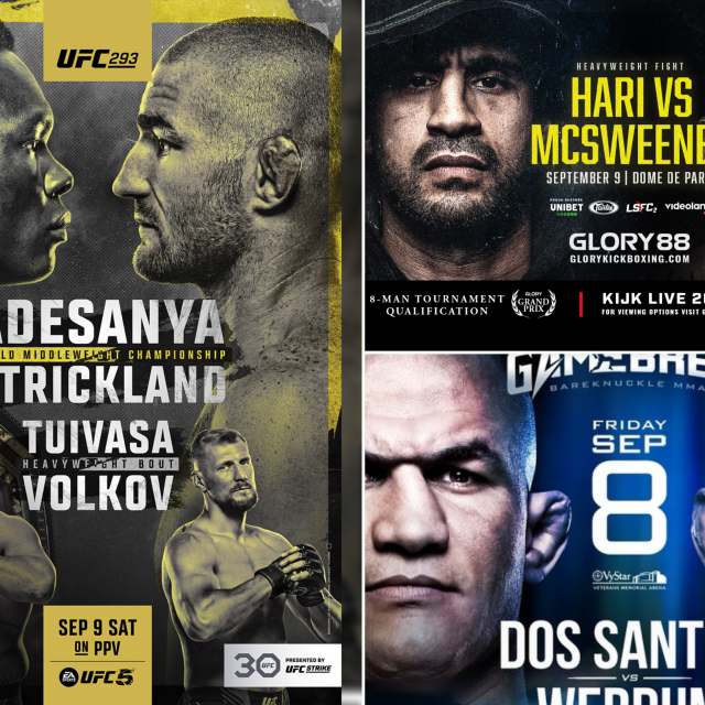 UFC, Glory, Gamebred Bareknuckle posteri