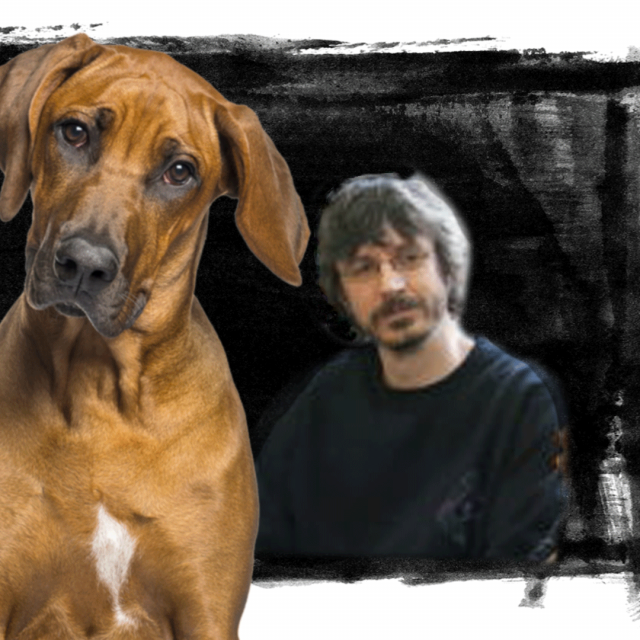 Ivor Ivanišević, optužen za silovanje pasa