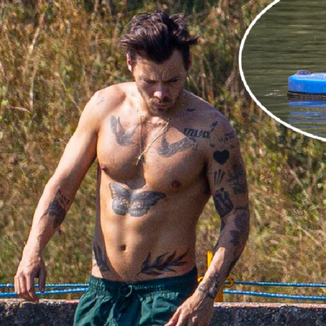 Harry Styles, galebovi