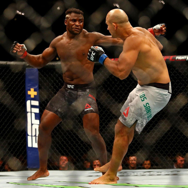 Francis Ngannou vs. Junior Dos Santos