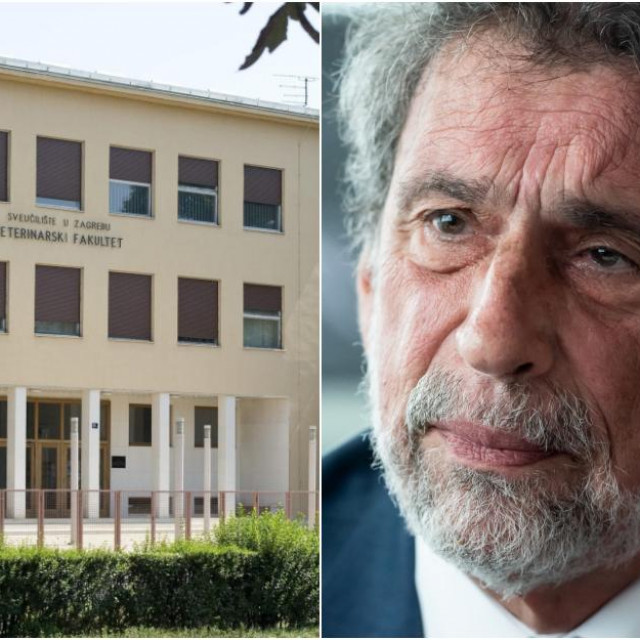 Navode da su ga decidirano nostrificirali te da to nije protivno tadašnjem zakonu