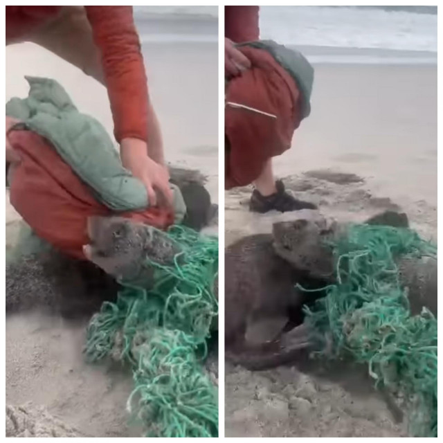 Instagram screenshot