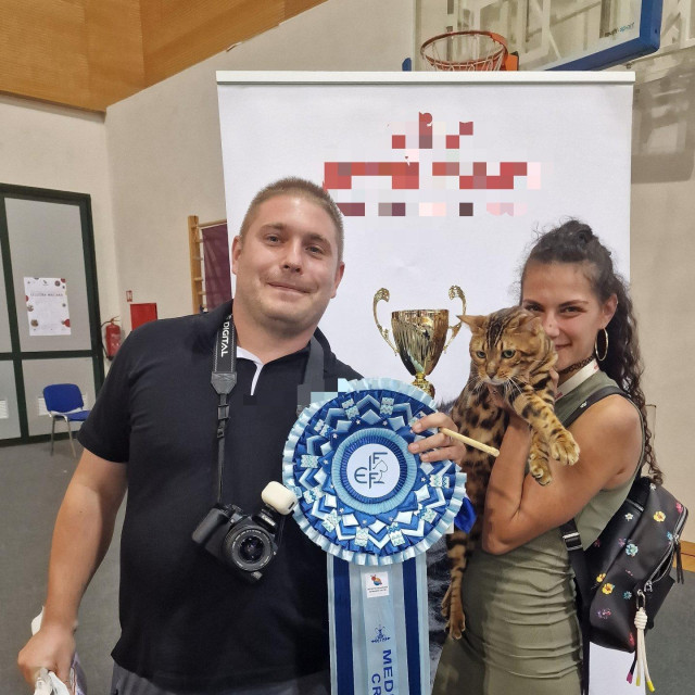 Mužjak Bengalske mačke Nitro u vlasništvu Doroteje i Benjamina Bačeka iz Vrbovca