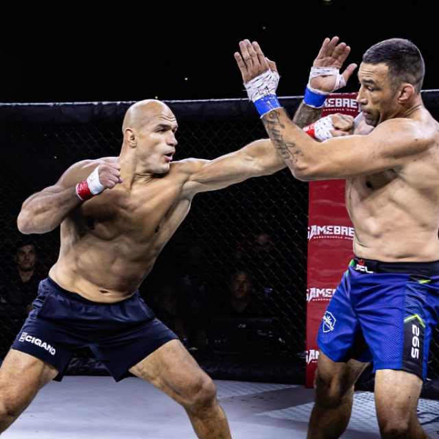 Junior Dos Santos vs. Fabricio Werdum