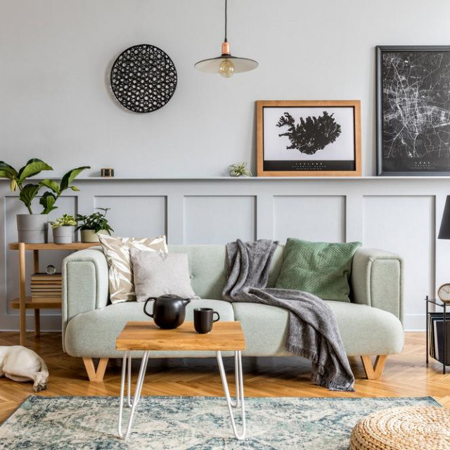 Stylish interior design of living room with modern mint sofa, wooden console, coffee table, lamp, plant, mock up poster frame, pillows, plaid, decoration and beautiful dog lying on the floor.