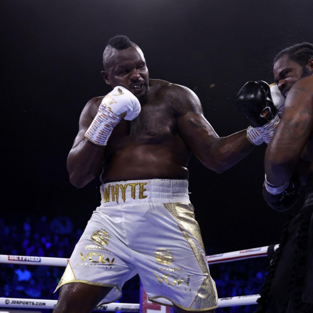 Dillian Whyte (lijevo) i Jermaine Franklin (desno)