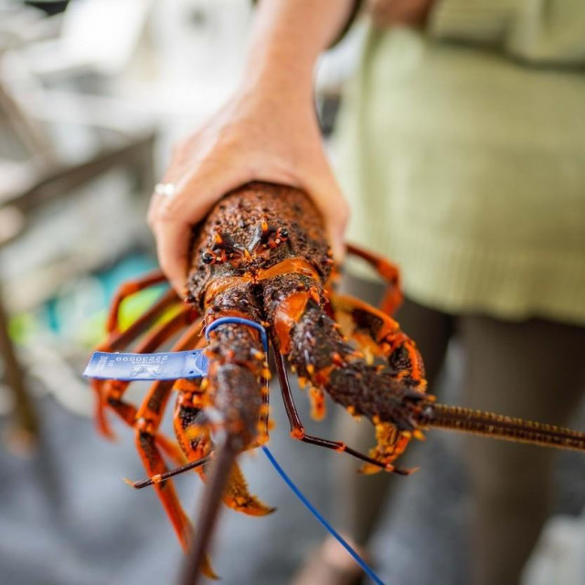 Ilustrativna fotografija