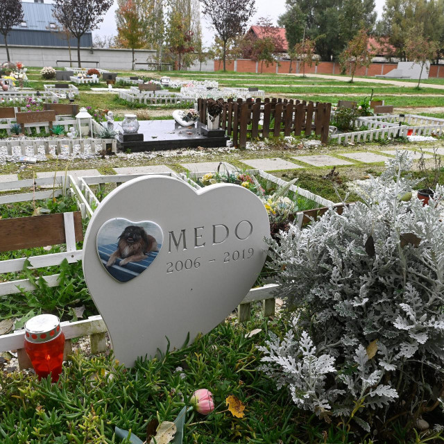 Groblje za kućne ljubimce u Zagrebu, ilustracija