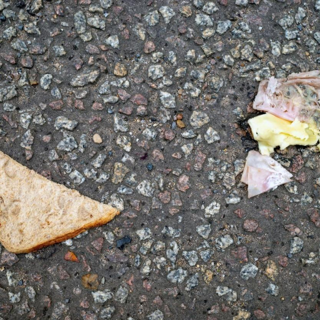 Sendvič na cesti (ilustracija)