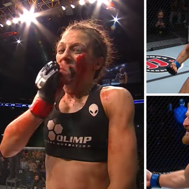 Poljski UFC borci