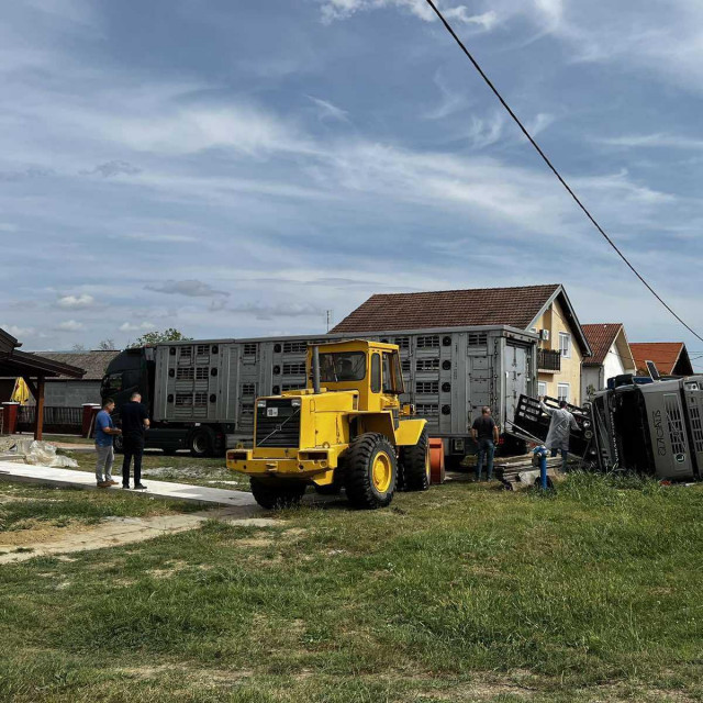 Prevrnuti kamion koji je prevozio svinje u klaonicu u Čakovcu