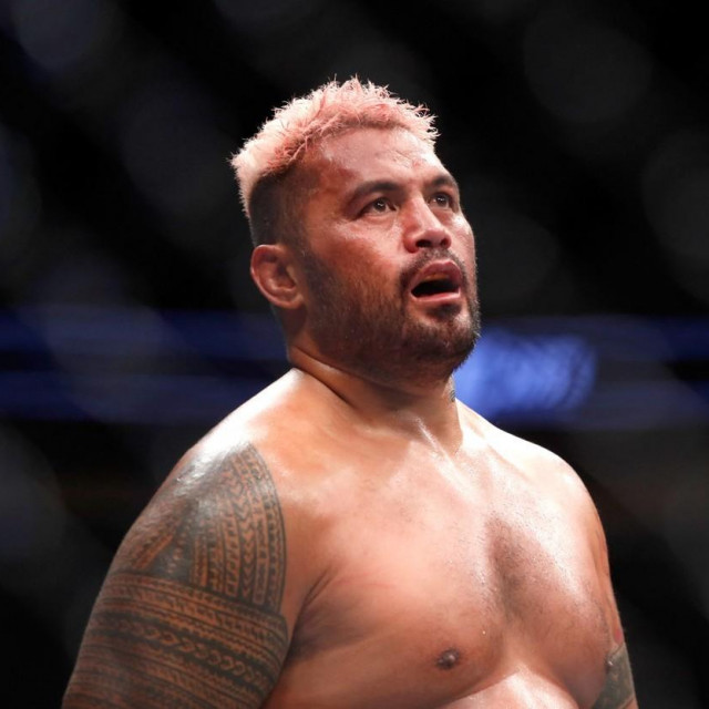 Mark Hunt