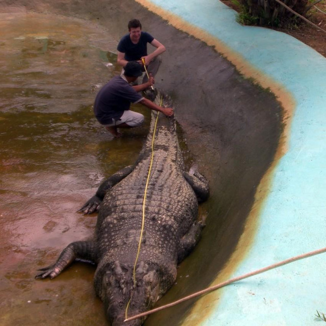 Adam Britton (iza krokodila, lijevo)