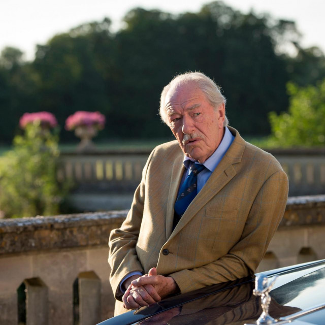 MICHAEL GAMBON