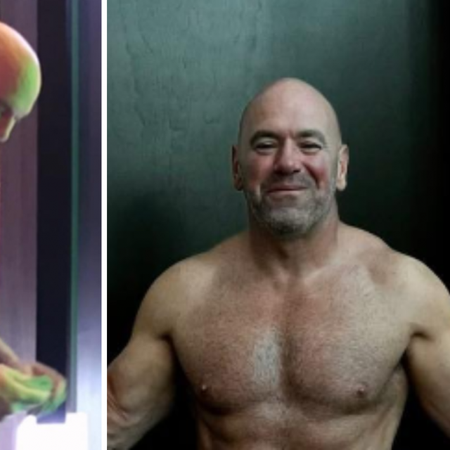 Dana White